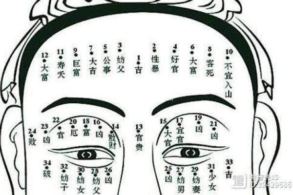 面相揭秘：生儿育女的好运面相，看看你具备了吗？