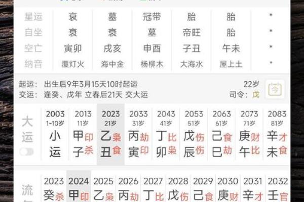 解密利八字排盘软件，如何准确预测命运走向