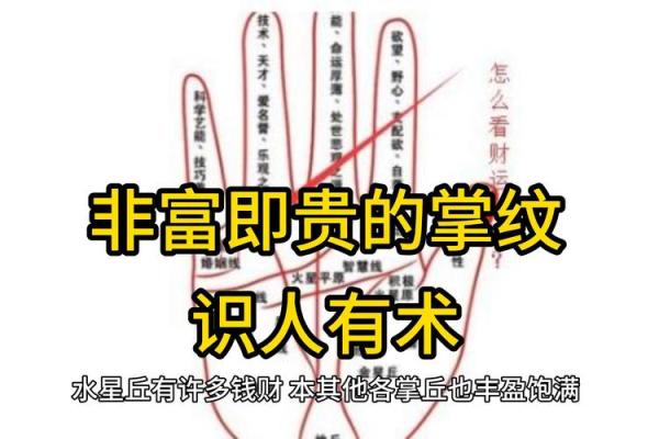 识面观命：面相富贵相，揭秘财富之门