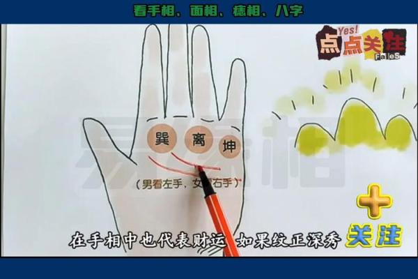 揭秘手相十二宫，财运、健康、爱情尽在掌心