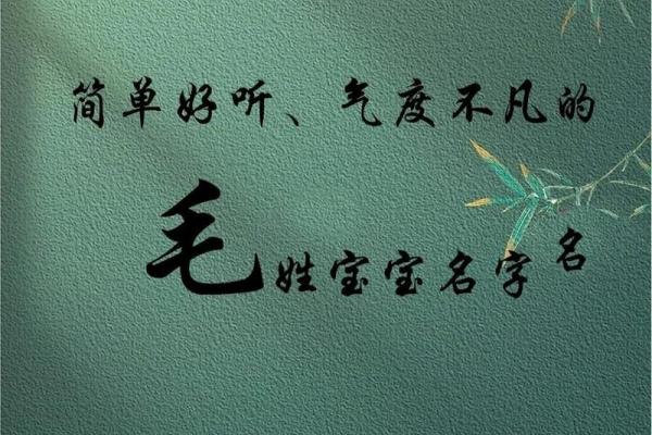 姓毛如何起名字才能更有气质？这些名字你必须知道