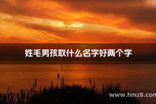 姓毛如何起名字才能更有气质？这些名字你必须知道