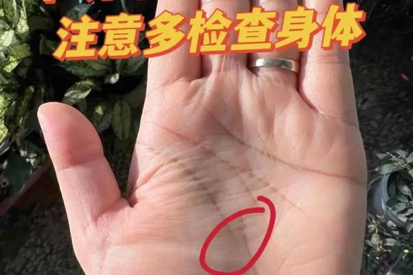 手相揭秘：感情线断裂分叉，预示着怎样的命运转折？