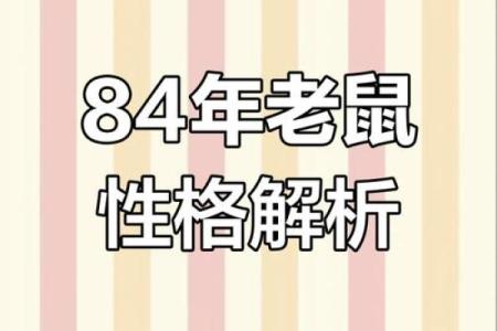 84年出生属什么命？揭秘84年生肖运势大揭秘