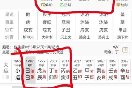 如何通过名人八字解读他们的人生轨迹