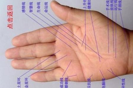 手相真的可以改变？揭秘手相运势重塑秘籍