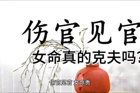 伤官命女性，揭秘她们独特魅力与命运之谜