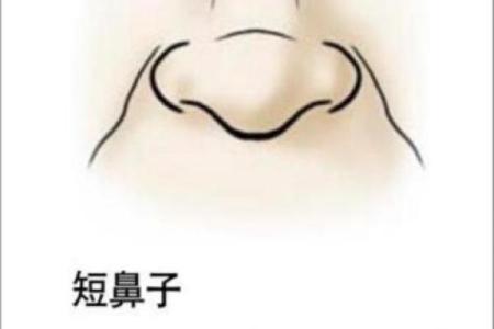 面相揭秘：鼻子决定命运，揭秘男人鼻子形状与运势
