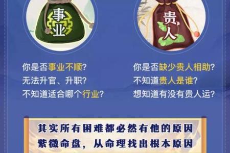 紫薇排盘揭秘：张盛舒教你如何看命运走势