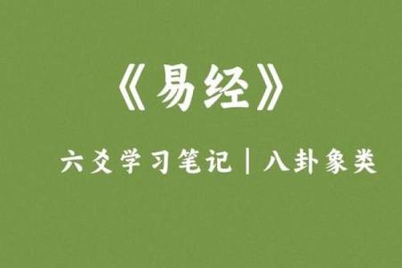掌握巽卦六爻排盘技巧，预测未来不再困难