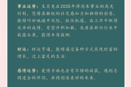 年：生肖命运大揭秘，运势巅峰来袭