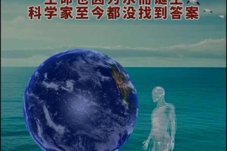 水命之光：揭秘水中人的神秘魅力