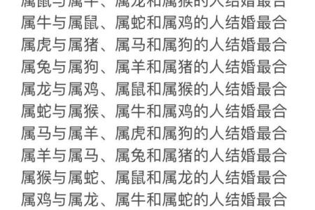属鸡男与属猴女配对攻略：红娘必备，爱情指南