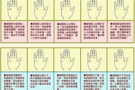 手相揭秘：精准预测生男生女及健康状况，你了解多少？