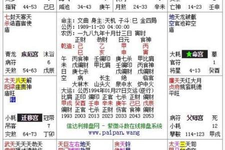 解密利八字排盘软件，如何准确预测命运走向