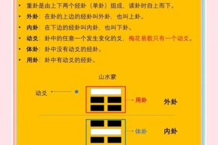六爻排盘与梅花易数的完美结合，揭示命运奥秘