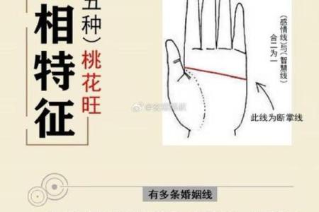 揭秘手相十二宫，财运、健康、爱情尽在掌心