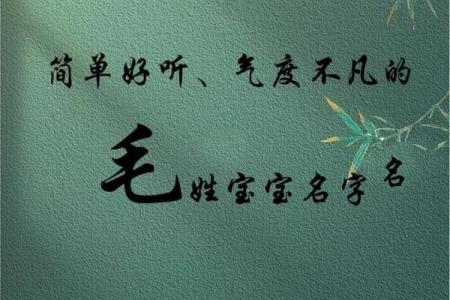 姓毛如何起名字才能更有气质？这些名字你必须知道