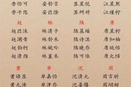 朱姓男孩女孩起名推荐：从传统到现代的完美搭配