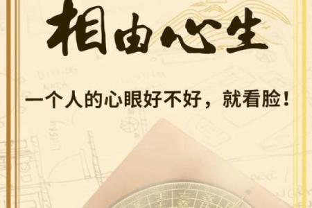 识人于面，一眼洞察命运的秘密：揭秘面相学的神秘魅力