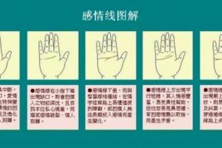 手相揭秘：感情线断裂分叉，预示着怎样的命运转折？