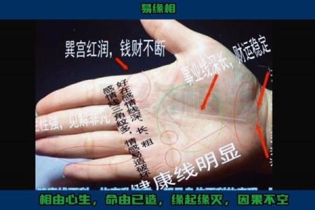 掌中秘境：揭秘手相线条，掌握运势密码