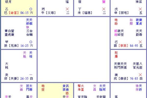 紫薇斗数排盘详解，如何精准解读命盘运势