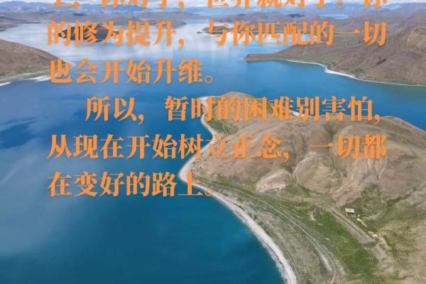 让五行命理引导你走向成功与幸福的道路