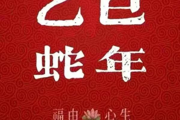属蛇人的命运揭秘：蛇年运势大起底