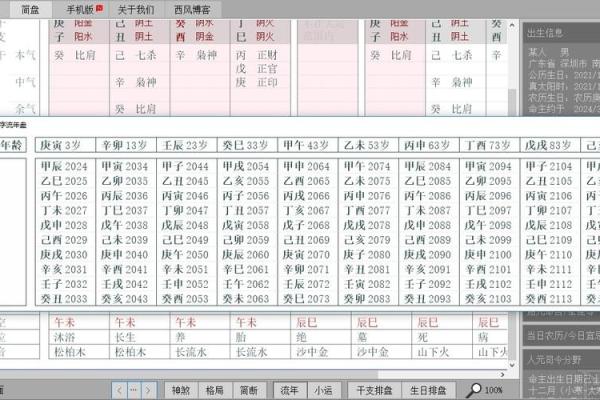 四柱排盘揭秘：如何通过盛运分析走向成功