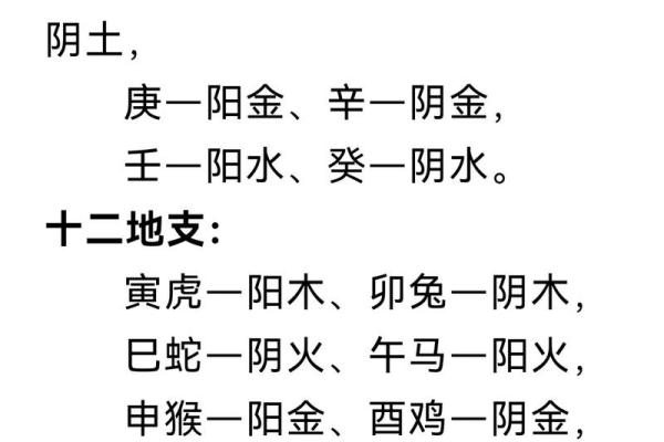 地支天干对命理的深远影响