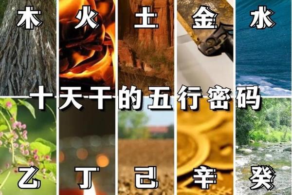 纵深分析天干阴阳通变：命运与时空的交织