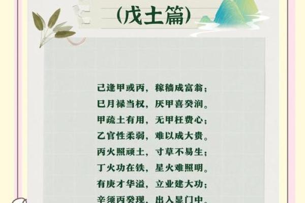土中生金旺：揭秘属土命的魅力特质