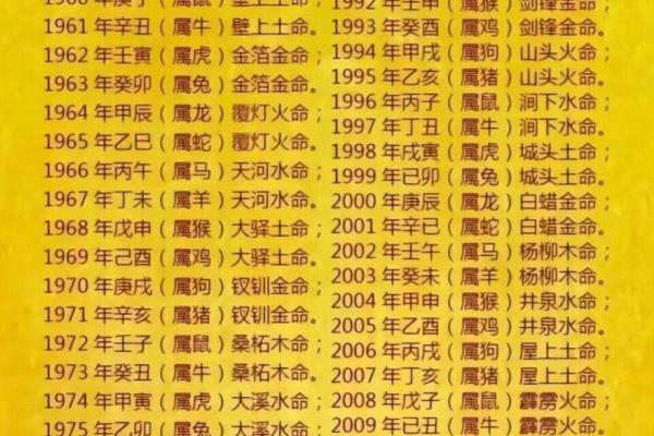 出生的人五行属什么，命运究竟如何？