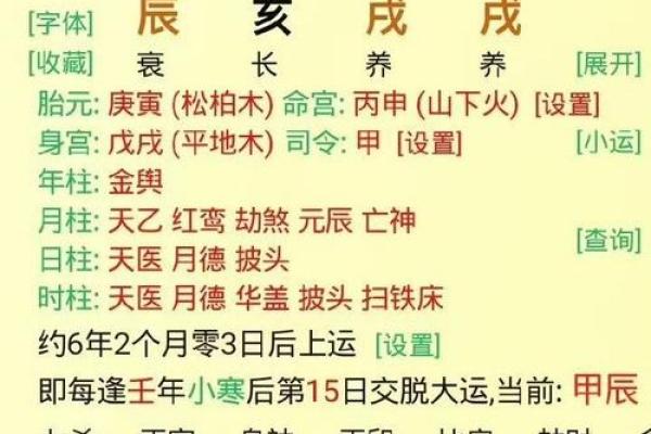 乙亥月五行属性透视，你的命理密码是什么