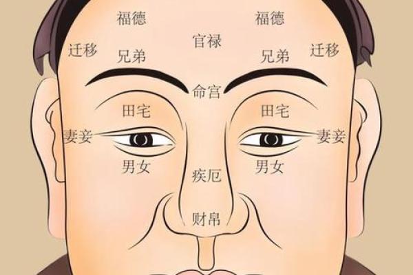 素女面相揭秘：一眼看穿命运走向