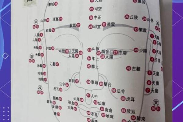 揭秘面相奥秘：如何开启你的天眼神通