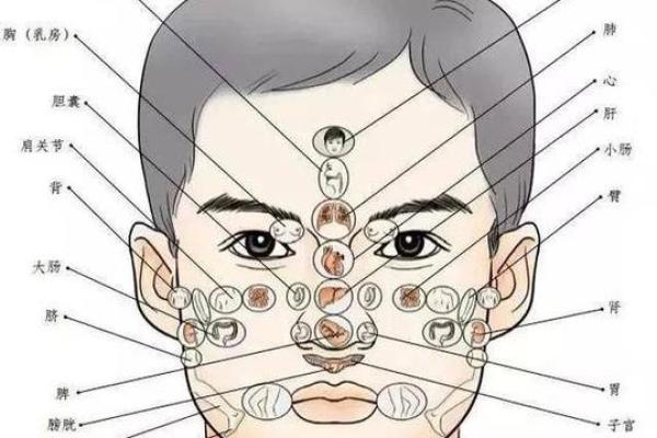 男士面相揭秘：一眼看穿命运走势，财运、事业、婚姻全解析