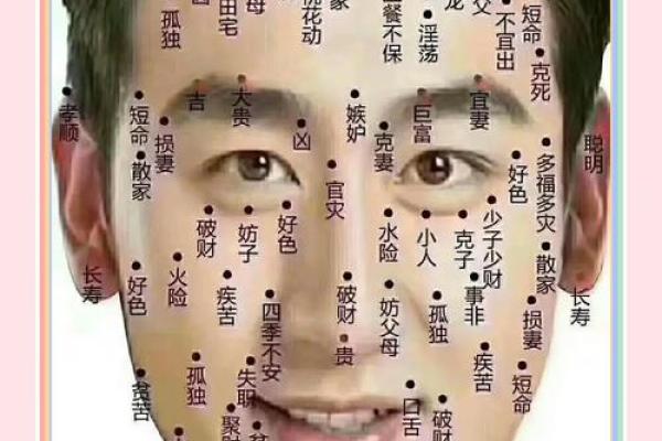 男士面相揭秘：一眼看穿命运走势，财运、事业、婚姻全解析