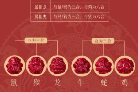 羊女猴男：天作之合的缘分？