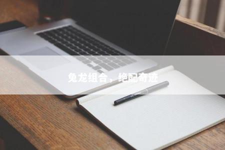 兔龙组合，绝配奇迹