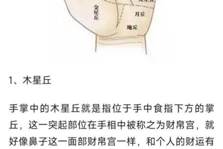 揭秘手掌长手指短的秘密：手相中的运势密码