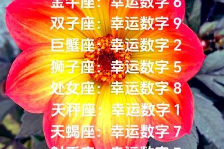 金牛座必备揭秘最适合你的星座搭档