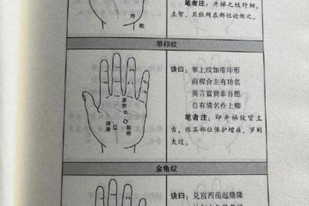 一掌在手，运势全有——揭秘手相中的秘密