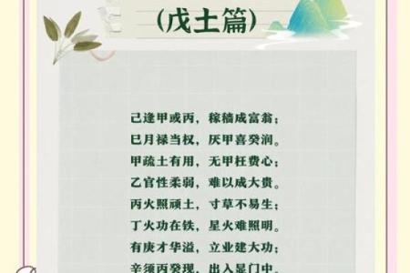 土中生金旺：揭秘属土命的魅力特质