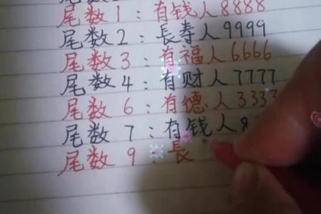 揭秘下巴回收，揭秘你的命运密码
