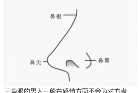揭秘免费算命面相大揭秘，让你一眼识人