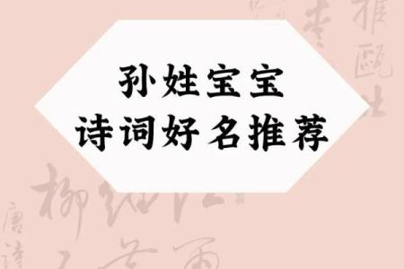 孙姓宝宝起名宝典，秒变命名达人