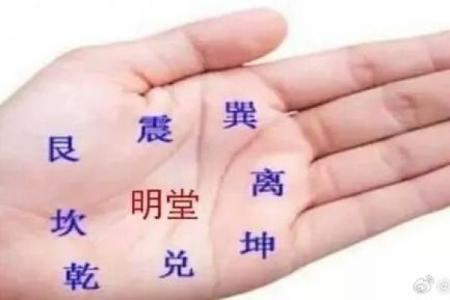 五指透露天机揭秘手相中的运势密码