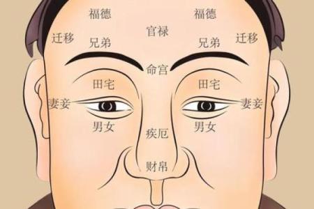 素女面相揭秘：一眼看穿命运走向